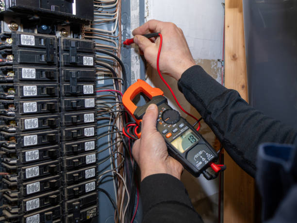 Best Ceiling Fan Installation Electrician  in Mentor On The Lake, OH